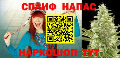 jwh Ставрополь