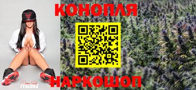 jwh Ставрополь