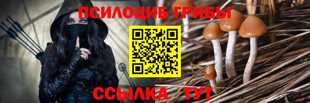 Галлюциногенные грибы прущие грибы  купить наркотик  Муром  Галлюциногенные грибы GOLDEN TEACHER  Вход с VPN 